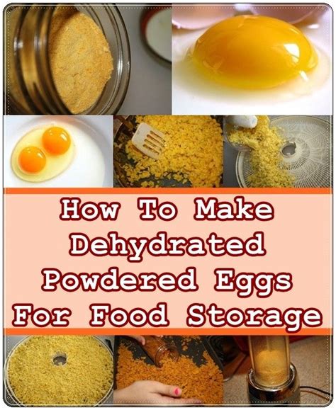 How To Make Dehydrated Powdered Eggs For Food Storage The Homestead