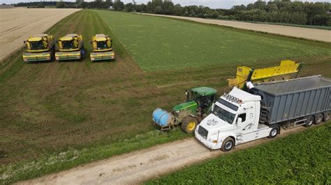 Récolte de pois de conserve avec l ETA Toulouse Achte 3 ploeger