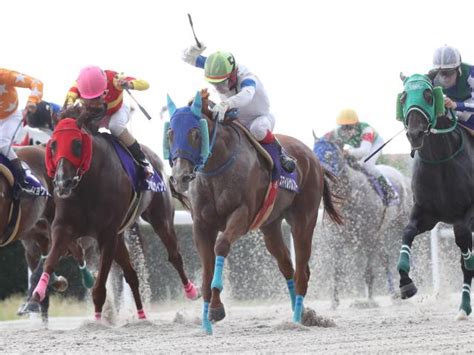 【笠松・くろゆり賞結果】スマイルサルファーが差し切って重賞3勝目！ 競馬ニュース Netkeiba