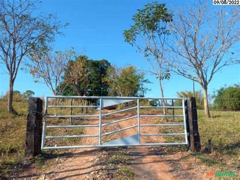 Ch Cara C Hectares Dracena Sp Em Dracena Sp Venda Compre