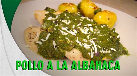 RECETA Pollo A La Albahaca O Pollo En Salsa De Albahaca YouTube