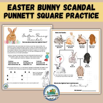 Easter Bunny Activity Heredity Genetics Practice Punnett Square