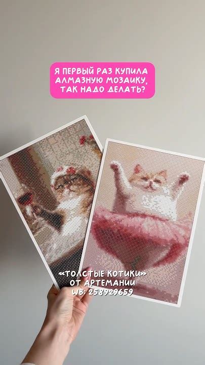 Алмазная мозаика «Толстые котики» от АртеМании WB: 258929659 - YouTube