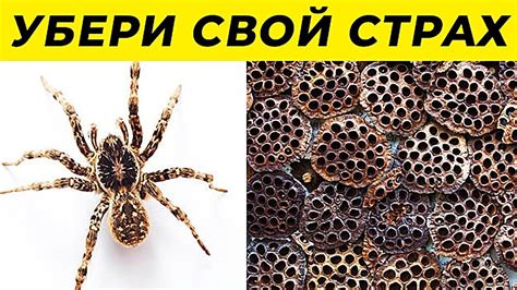 12 Способов Избавиться От Любого Страха - YouTube