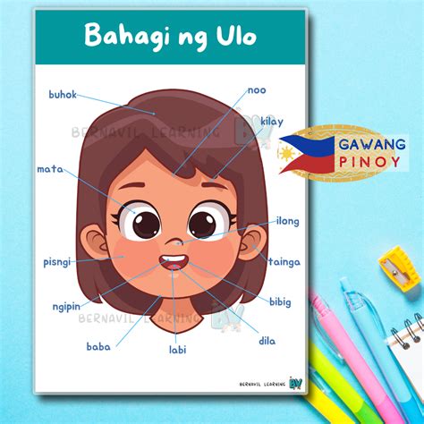 Parts Of The Head Chart Filipino Tagalog Laminated Educational Chart