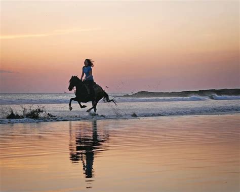 Photo Challenge: 18 Gorgeous Horsey Sunsets | HORSE NATION