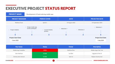 Executive Project Status Report Template