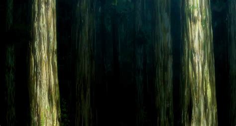 ShuujiChan The Forest Of Big Ass Giant Trees