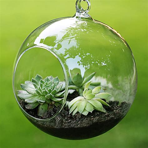 Suspendus Verre Boule Vase Micro Paysage Air Plante Vase Bricolage De