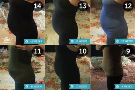 Pregnant Belly Progression Twins