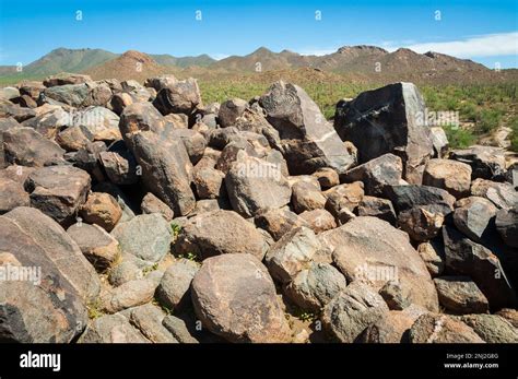 Saguaro National Park in Arizona, USA Stock Photo - Alamy