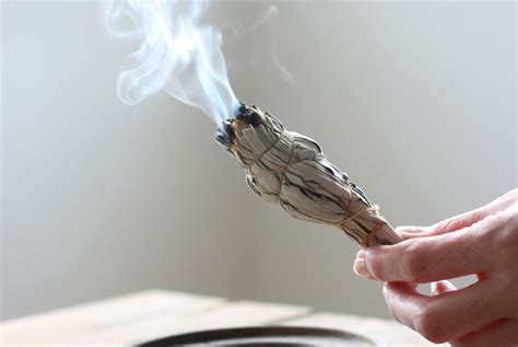 Белый калифорнийский шалфей - способ очистить ауру дома