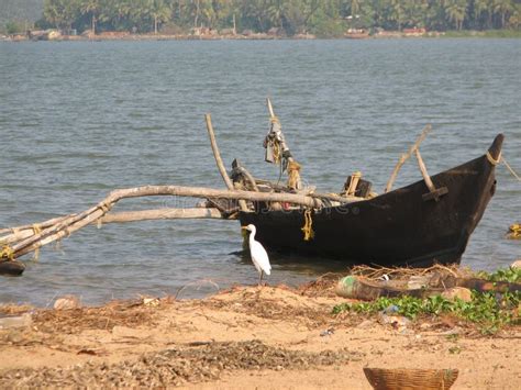 Barcos De Pesca Alineados A Lo Largo De La Orilla La India Karnataka