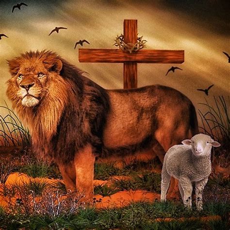 The Lion And The Lamb Redbubble Pinterest Lambs And Lions