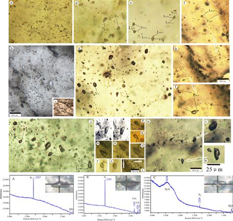 Photomicrographs Of Representative Fluid Inclusion Types At Room