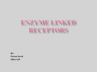 Enzyme linked receptors | PPT