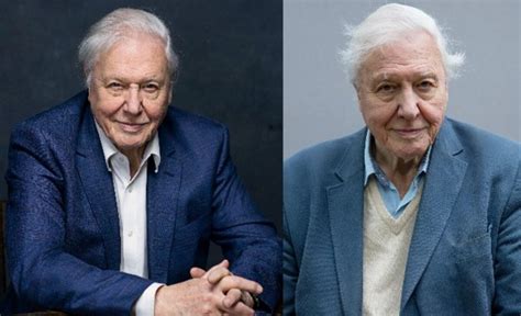 David Attenborough Biography, Age, Net Worth, Wife, Kids, Grandchildren ...