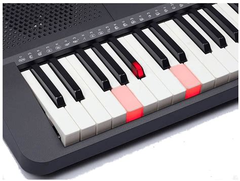 Medeli M221L - Arco | Music