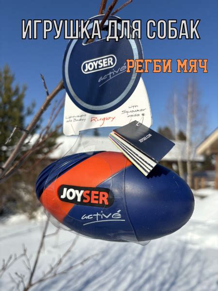 Игрушка для собак регби мяч JOYSER резиновый с пищалкой синий - купить ...