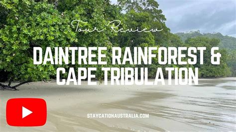 Daintree Rainforest Cape Tribulation Tour Review YouTube