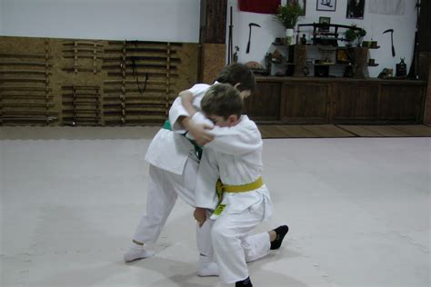 Shibumi Dojo - Biz dünyayı korursak dünya da bizi korur.