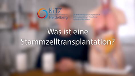 Was Ist Eine Stammzelltransplantation Krebs Bei Kindern Klargemacht