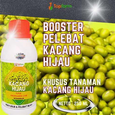 Pupuk Buah Kacang Hijau Pupuk Daun Untuk Kacang Hijau Pupuk Pelebat