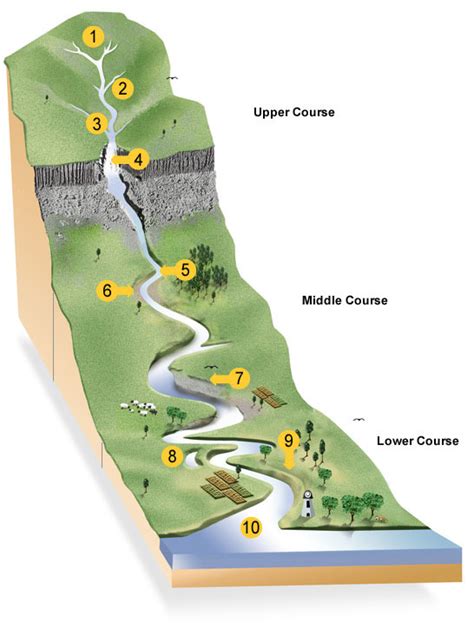 River Course Features Diagram | Quizlet