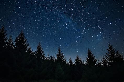 Premium Photo Midnight Starry Night With Forest Of Evergreen Trees