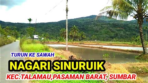 NAGARI SINURUIK KEC TALAMAU PASAMAN BARAT SUMBAR GADING KNL YouTube