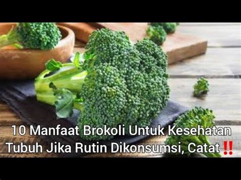 10 Manfaat Brokoli Untuk Kesehatan Tubuh Jika Rutin Dikonsumsi Catat