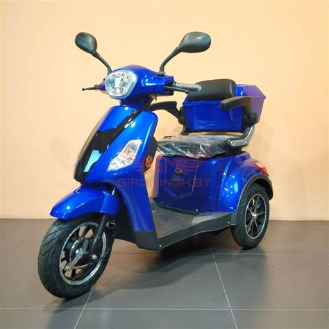 Трицикл Syccyba Trike A1 купить в Минске и Беларуси ⋆ Официальный дилер