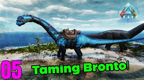 Ark Survival Ascended Taming Bronto Episode Akan Youtube