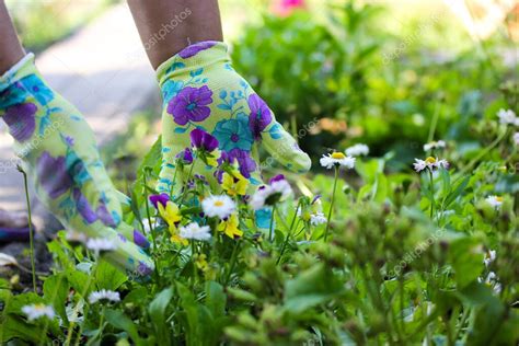 Jardinero Femenino En Guantes De Trabajo Verdes Tocando Plantas Verdes