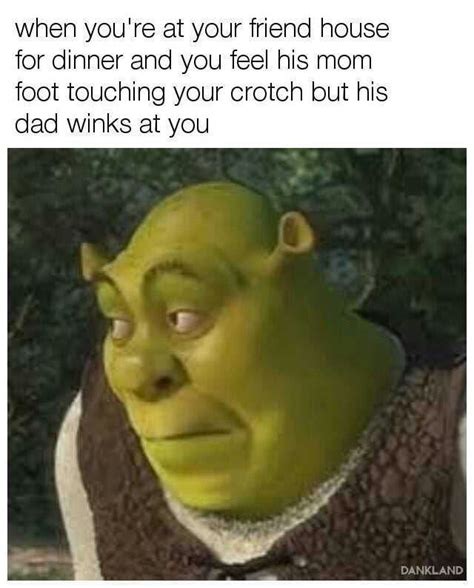 Pin By Maidendespair On Meme On The Cringe Shrek Memes Shrek Funny