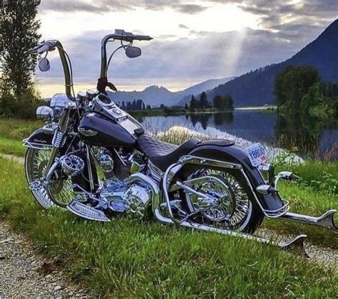 Pin By Ftwfyt On F T W Harley Davidson Pictures Harley Softail