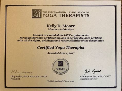 Living Yoga Yoga Therapy Credential With Iayt Living Yoga