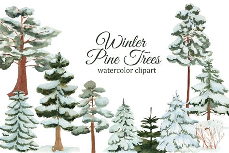 Winter Pine Trees Watercolor Clipart Graphic By Syanyeva · Creative Fabrica