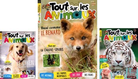 Abonnement Magazine Pour Enfant Notre Top Par Ge