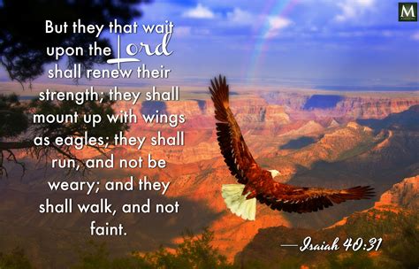 But They That Wait Upon The Lord Shall Renew Their Strength They