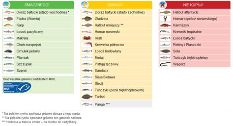Ryby Po Angielsku Rodzaje