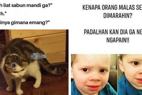 10 Meme Pertanyaan Yang Jawabannya Bikin Mikir Keras Absurd