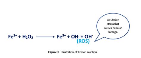 Illustration of Fenton reaction. | Download Scientific Diagram