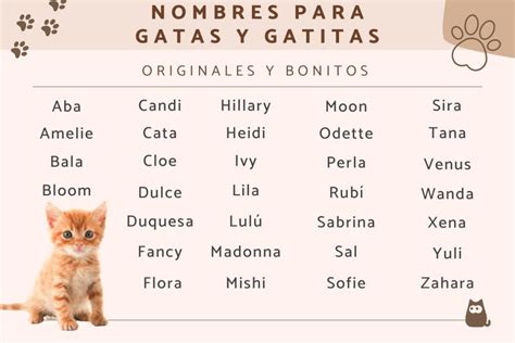 Nombres Cortos Para Gatas