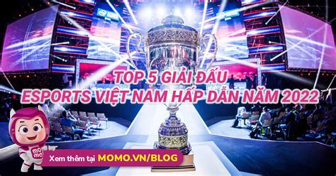 Top 5 Giải đấu Esports Việt Nam Hấp Dẫn Nhất Năm 2022