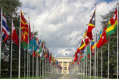 Royalty Free United Nations Flag Pictures, Images and Stock Photos - iStock