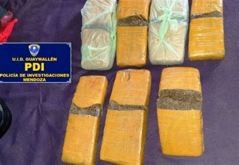 Narcotr Fico Cae Un Ex Polic A Con Kilos De Marihuana