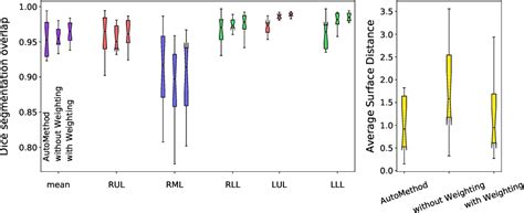 Figure 1 From Automatic Segmentation Of The Pulmonary Lobes With A 3d U Net And Optimized Loss