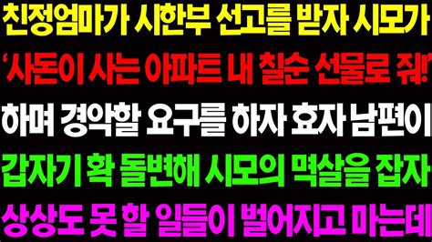 실화사연 친정 엄마가 시한부 선고를 받자 시모가 사돈이 사는 아파트 내 칠순 선물로 줘 하며 경악할 요구를 하는데