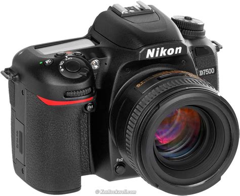 Nikon DX Cameras
